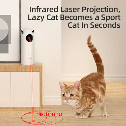 Cat playing with an infrared laser pointer device on a wooden floor.