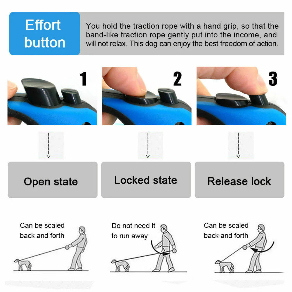 Instructions on how to use a dog leash with labeled steps and illustrations.