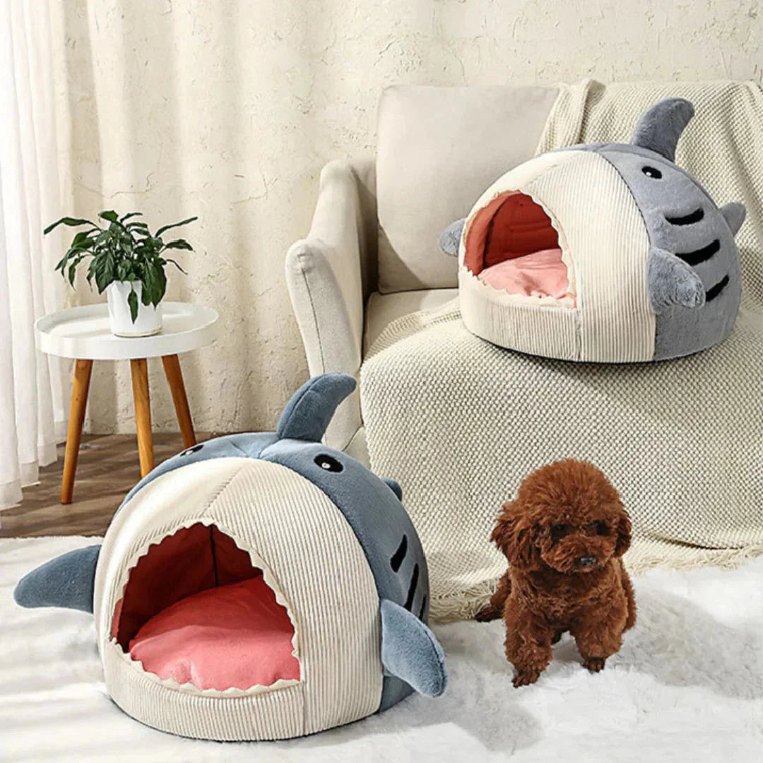 Cute shark-shaped pet bed with a small dog inside, placed on a cozy living room floor.