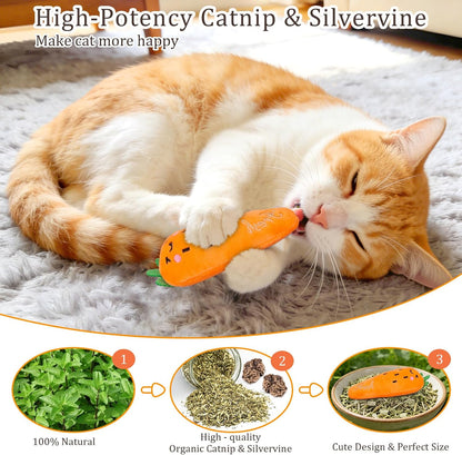 Catnip Cat Toys, 5 Pack, Plush Catnip Toys for Indoor Cats Kitten, Interactive Cat Nip Kitty Kicker Chew Safe Teeth Cleaning Toys, Fun Carrot Vegetable Shape