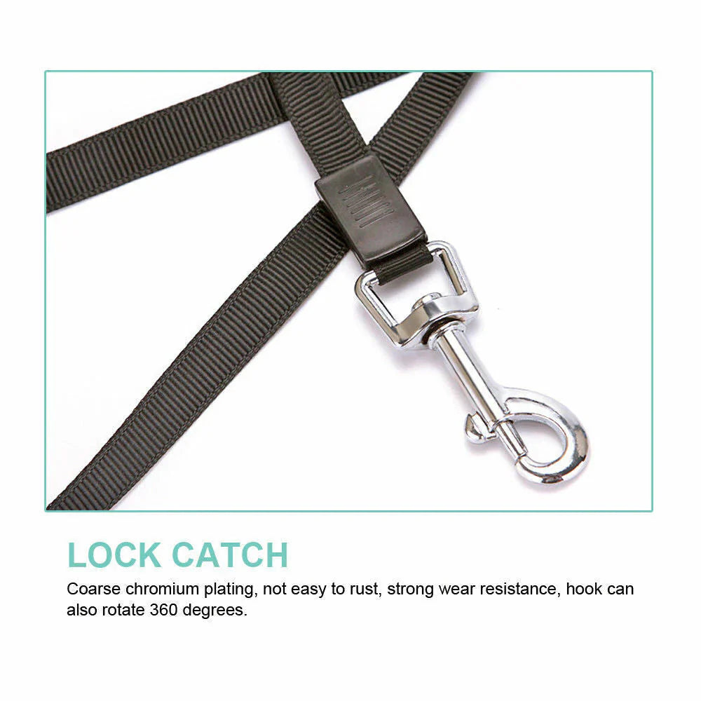 Dog leash with lock catch on a white background