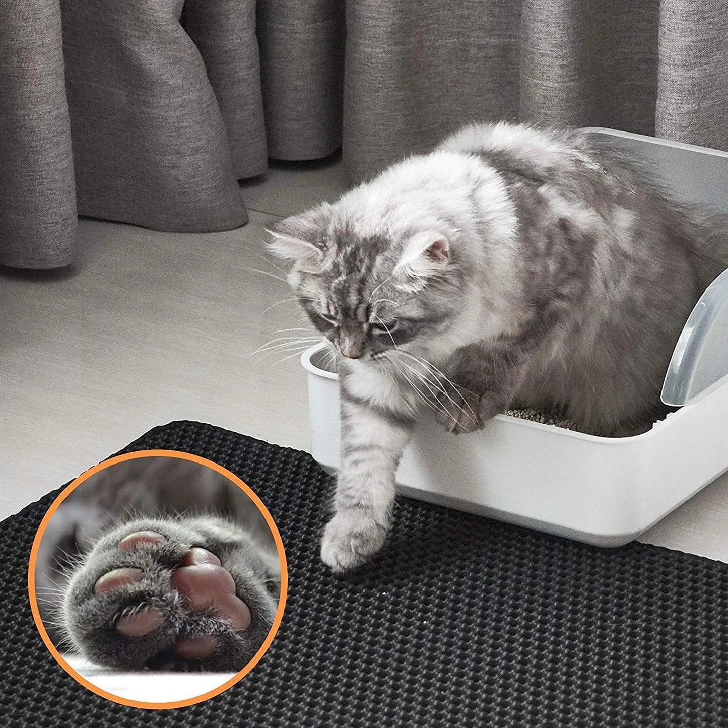 Cat using a litter box with a close-up of its paw in the corner.