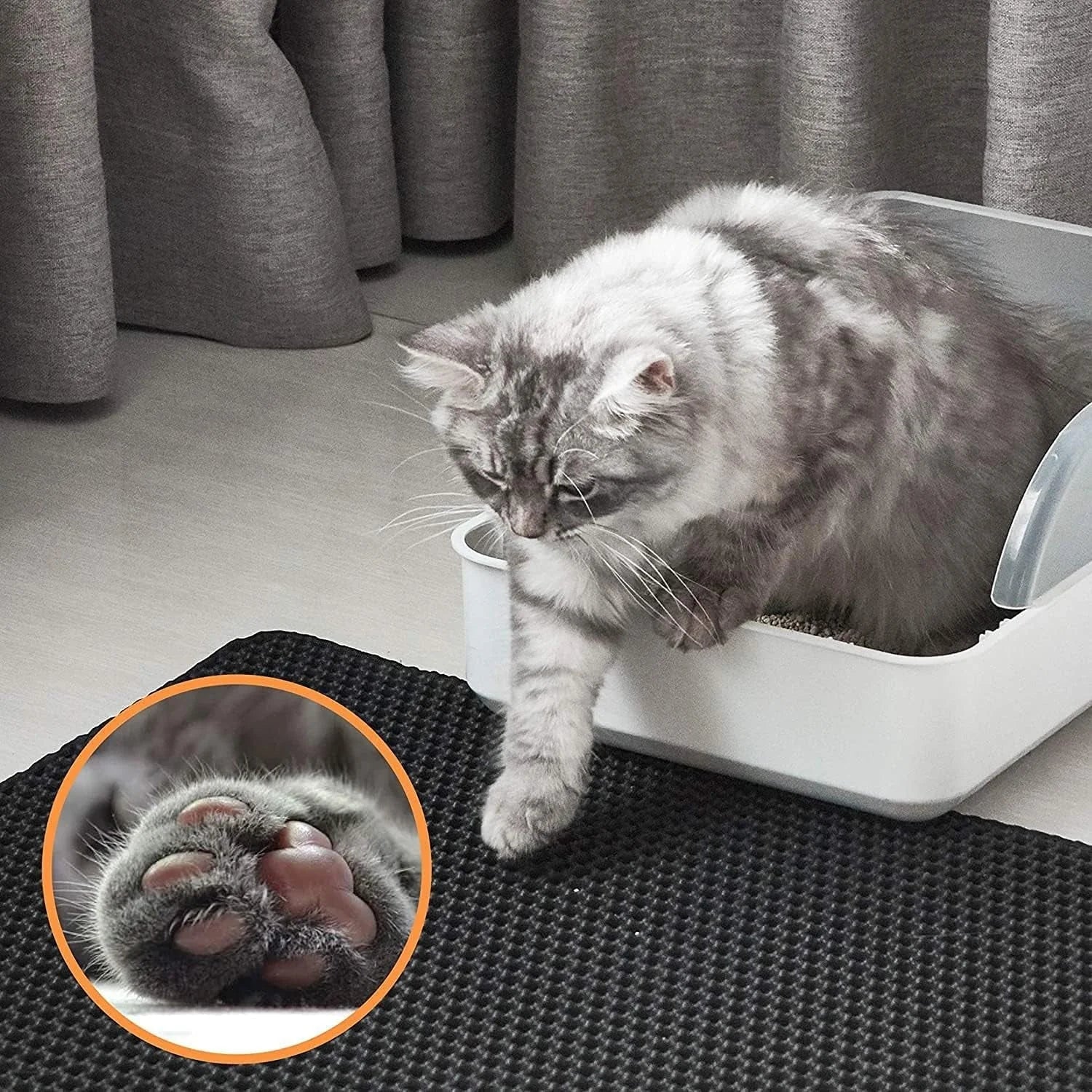 Cat using a litter box with a close-up of its paw in the corner.