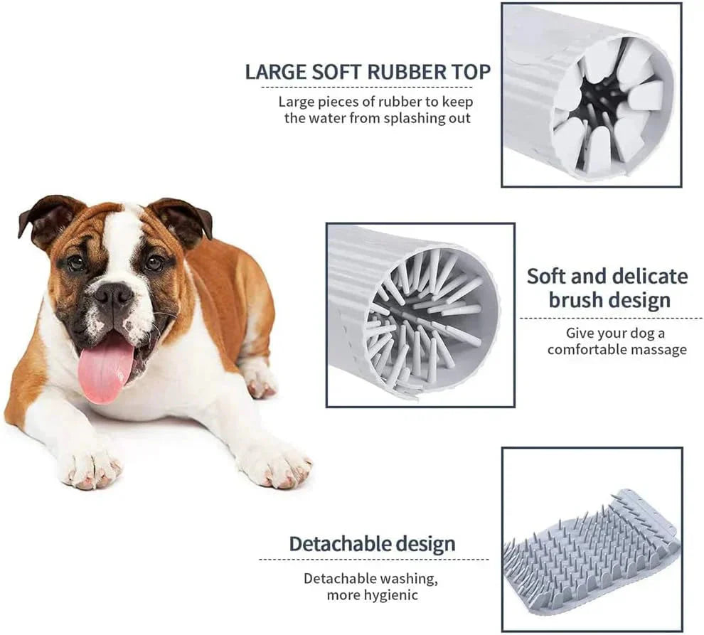 Dog lying next to a grooming tool with features highlighted on a white background